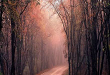 天涯论坛神贴收藏价值超高：那篇炫富贴子让人连吸三杯咖啡！