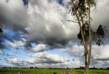 天涯论坛神贴：极品天意玩家的大神操作